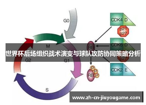 世界杯后场组织战术演变与球队攻防协同策略分析
