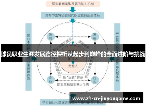球员职业生涯发展路径探析从起步到巅峰的全面进阶与挑战