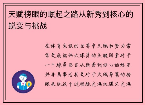 天赋榜眼的崛起之路从新秀到核心的蜕变与挑战