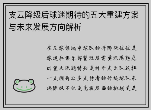 支云降级后球迷期待的五大重建方案与未来发展方向解析