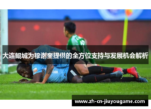 大连鲲城为穆谢奎提供的全方位支持与发展机会解析