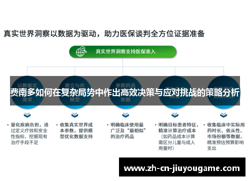 费南多如何在复杂局势中作出高效决策与应对挑战的策略分析