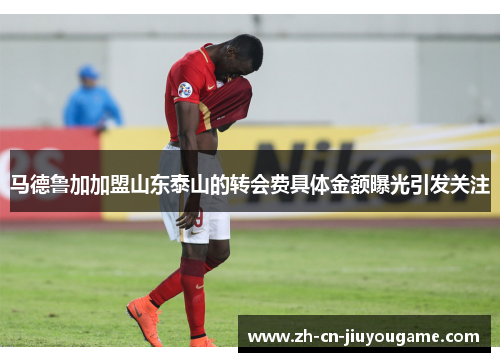 马德鲁加加盟山东泰山的转会费具体金额曝光引发关注