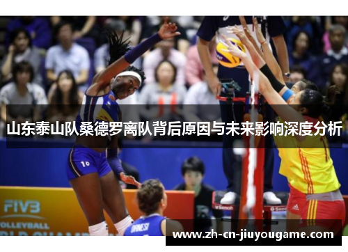 山东泰山队桑德罗离队背后原因与未来影响深度分析