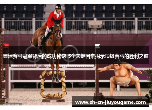 奥运赛马冠军背后的成功秘诀 5个关键因素揭示顶级赛马的胜利之道