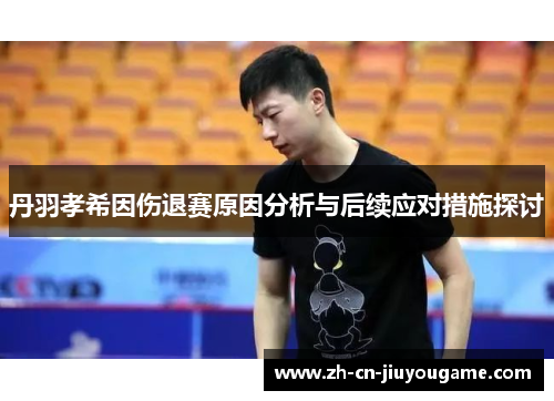 丹羽孝希因伤退赛原因分析与后续应对措施探讨