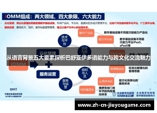 从语言背景五大要素探析巴舒亚伊多语能力与跨文化交流魅力