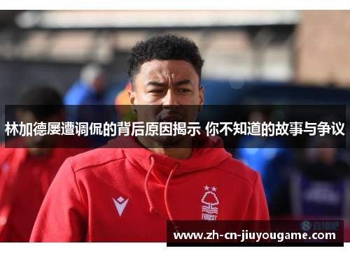 林加德屡遭调侃的背后原因揭示 你不知道的故事与争议